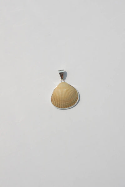 Shell Pendant #26