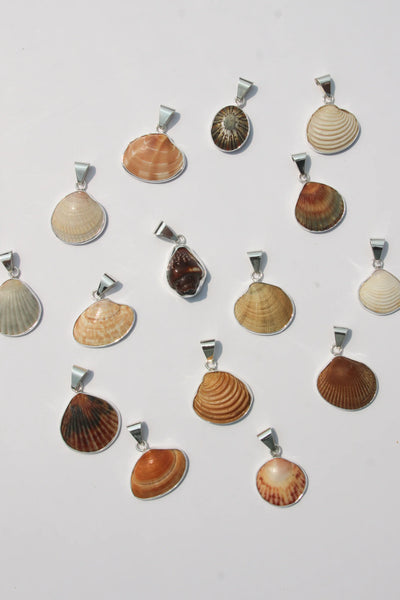 Shell Pendant #2