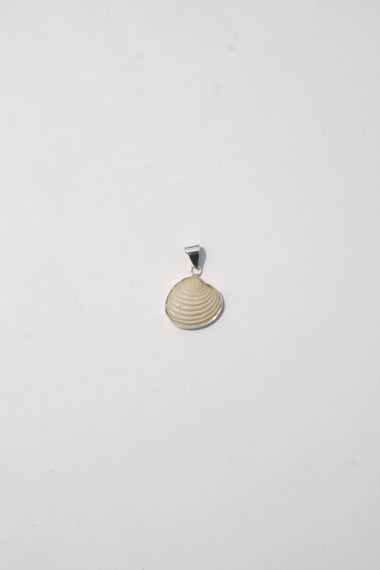 Shell Pendant #1