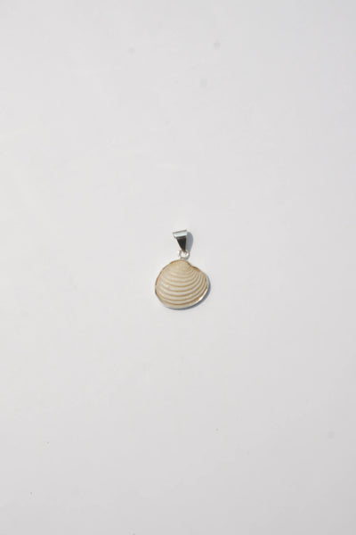 Shell Pendant #1