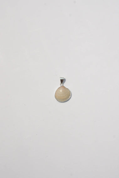 Shell Pendant #7