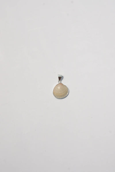 Shell Pendant #7