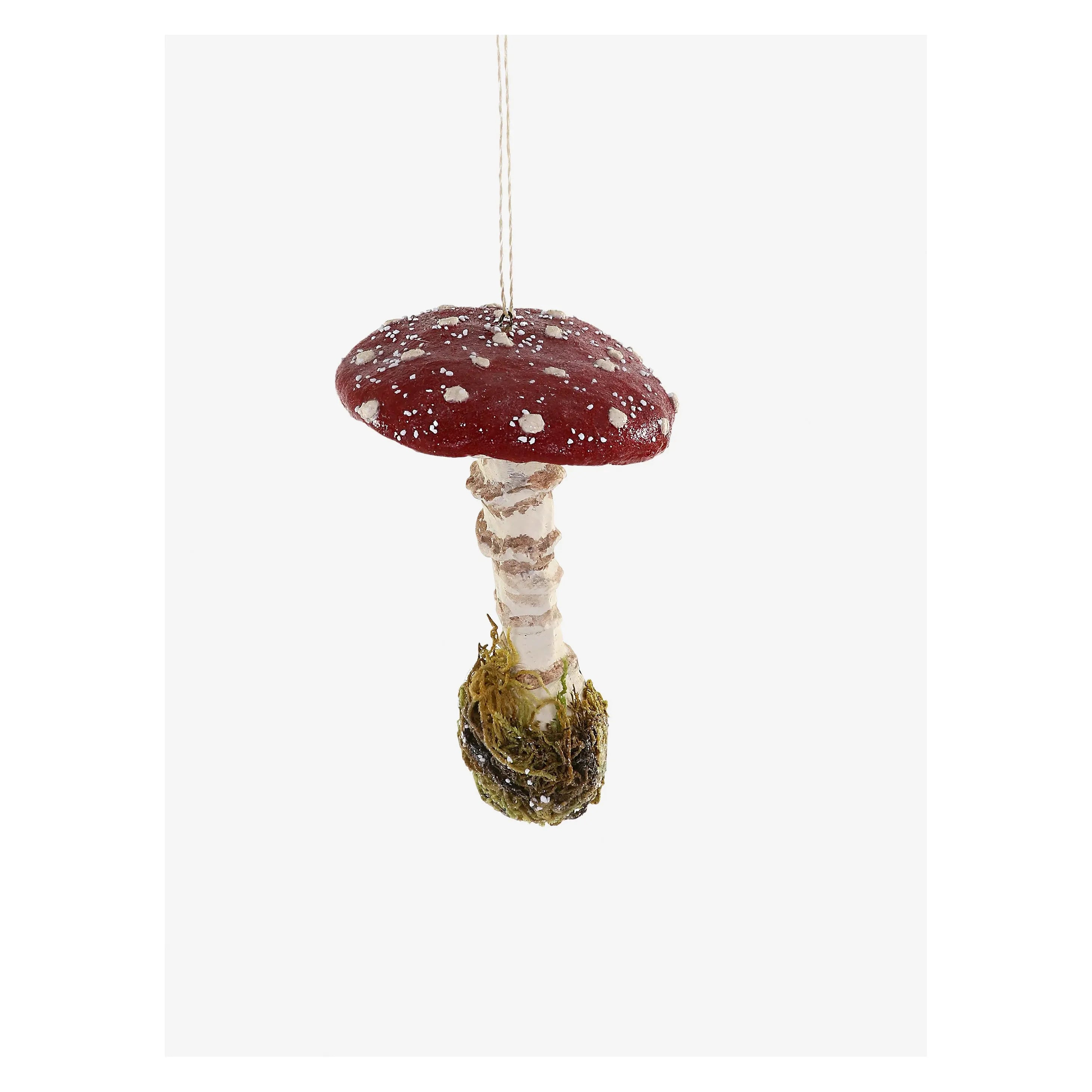 Amanita Muscaria Mushroom