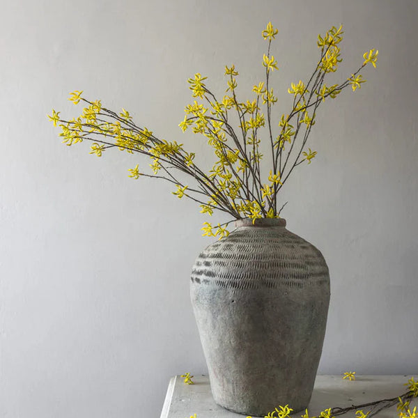 Witch Hazel Stem - Bodega Nantucket