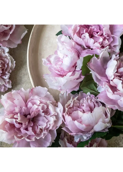 Peony Stem - Bodega Nantucket