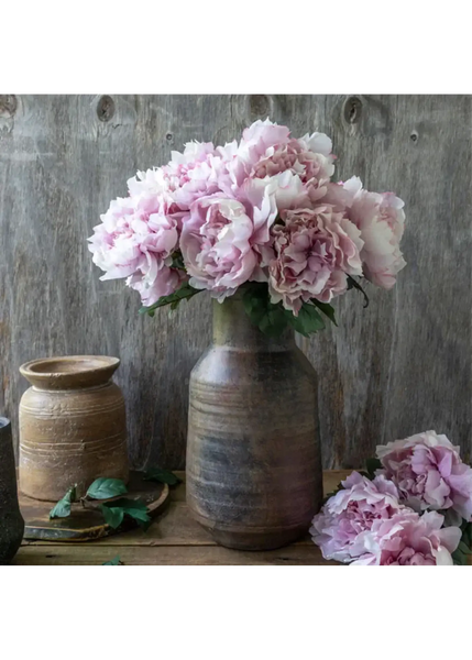 Peony Stem - Bodega Nantucket