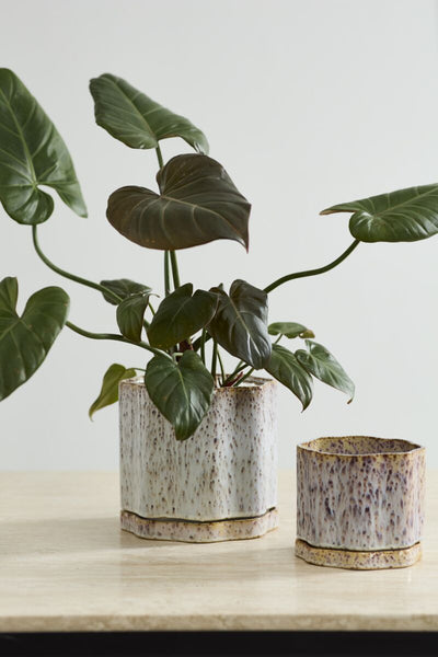 Avenell Pot with Saucer - Bodega Nantucket