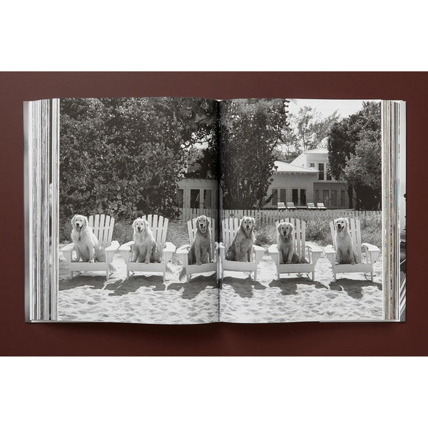 The Golden Retriever Photography Society - Bodega Nantucket