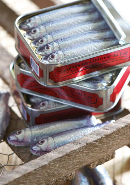 Chocolate Sardines, 5 - Bodega Nantucket