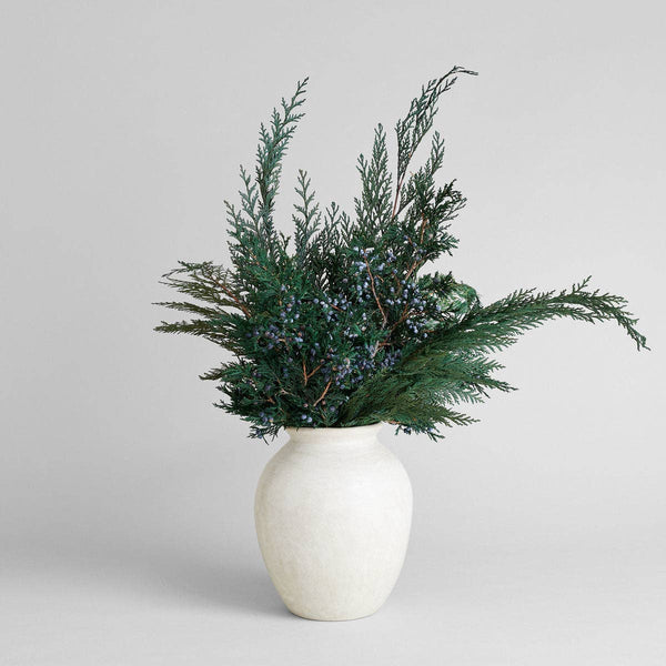 Preserved Cedar - Bodega Nantucket