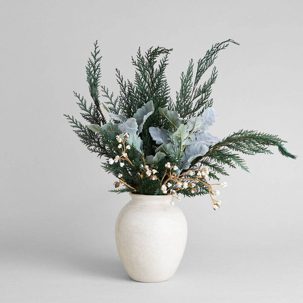 Preserved Cedar - Bodega Nantucket