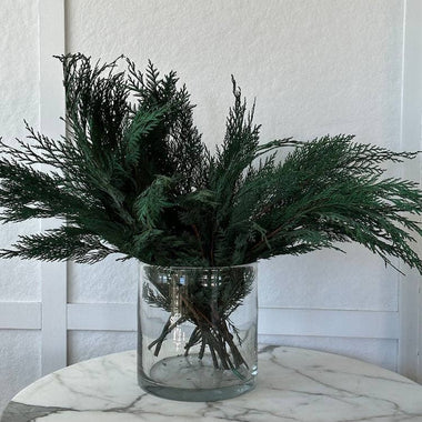 Preserved Cedar - Bodega Nantucket