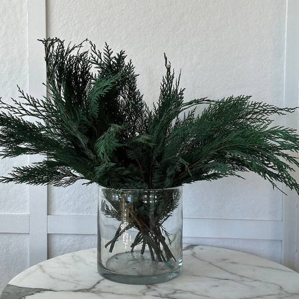 Preserved Cedar - Bodega Nantucket