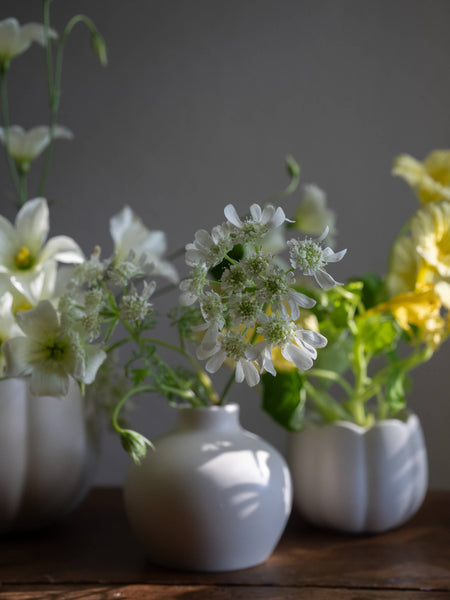 Ceramic Blossom Vase, Matte White