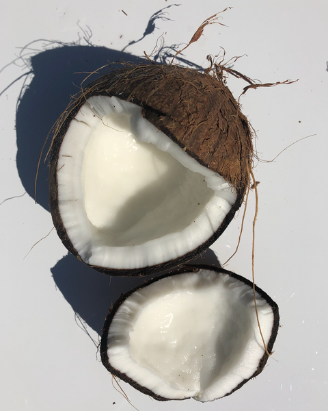 Happy Hands - Coconut Bar Soap - Bodega Nantucket