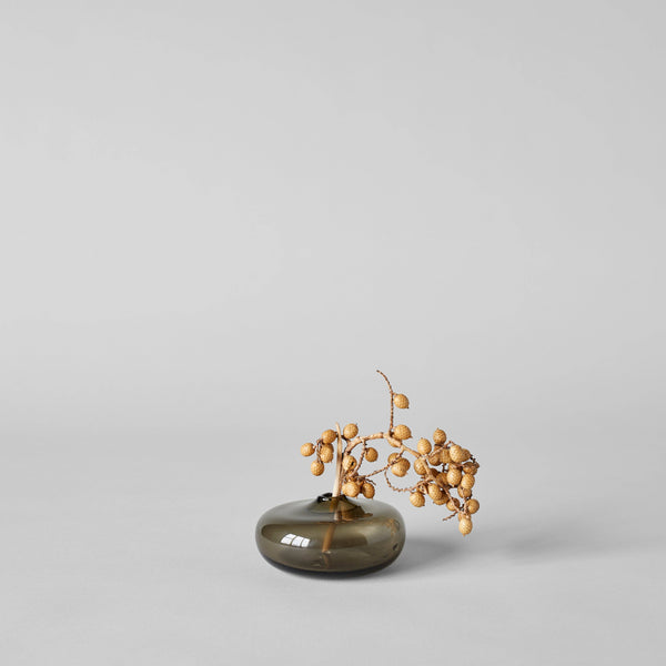 Dried Natural Canella - Bodega Nantucket