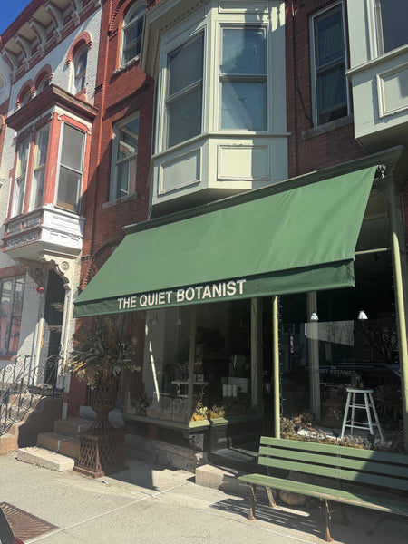 426 Candle - Bodega Nantucket