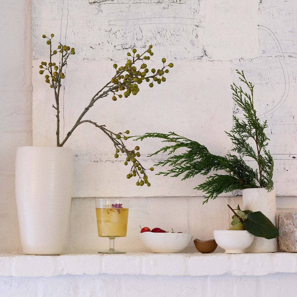 Preserved Cedar - Bodega Nantucket