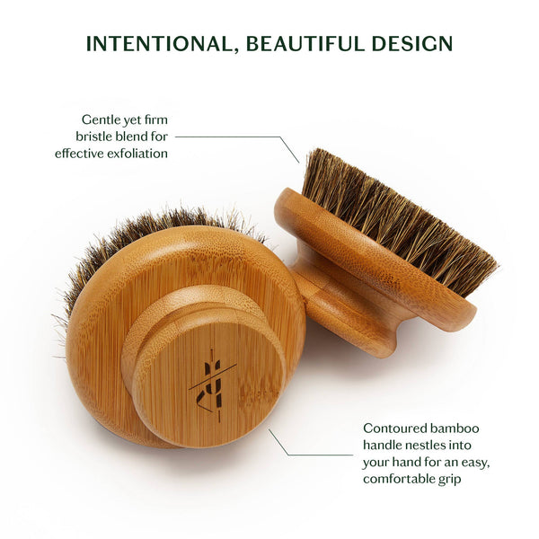 The Dry Brush - Bodega Nantucket