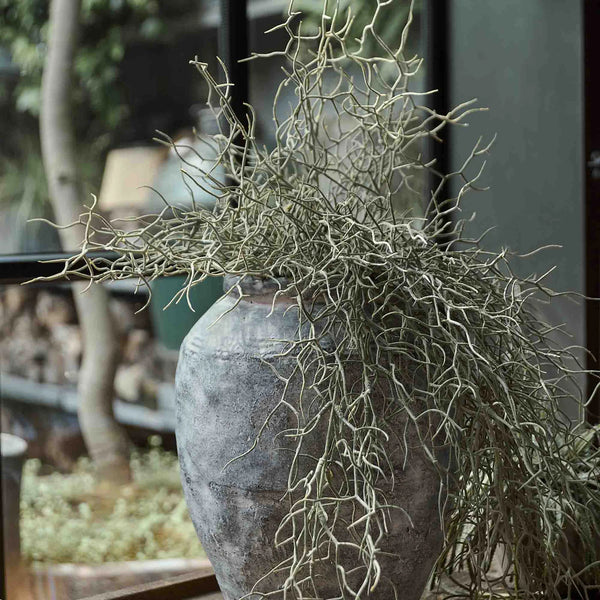 Grass Bush Stem - Bodega Nantucket