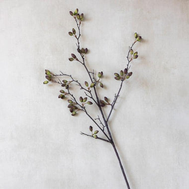 Barberry - Bodega Nantucket