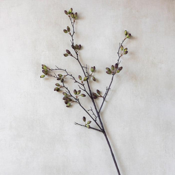 Barberry - Bodega Nantucket