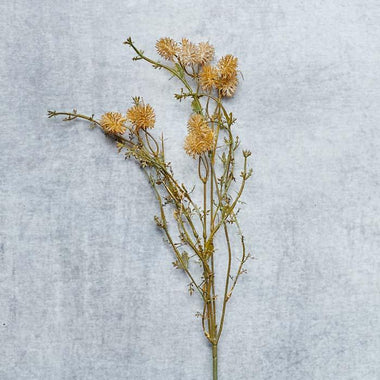 Meadow Pom Pom - Bodega Nantucket