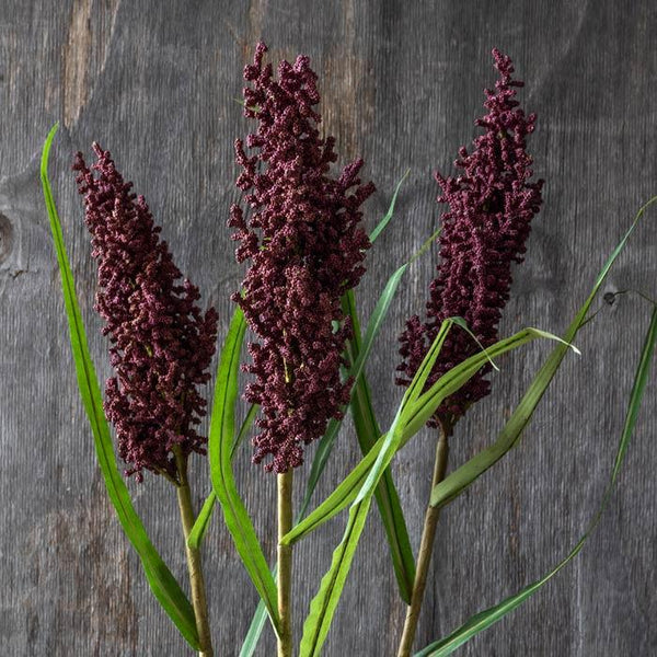 Wetland Heirloom - Bodega Nantucket