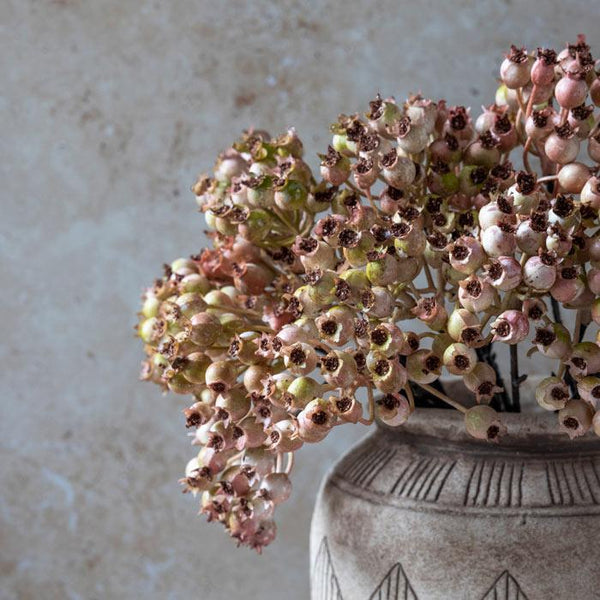 Rose Hip Bunch - Bodega Nantucket