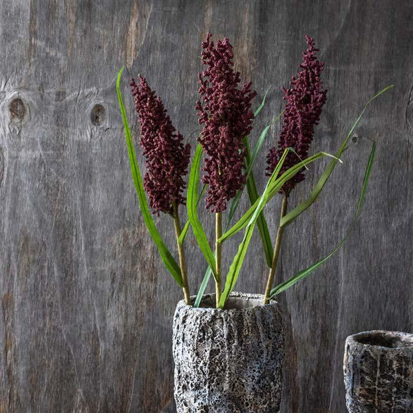 Wetland Heirloom - Bodega Nantucket