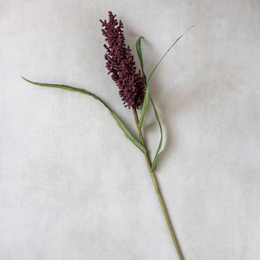 Wetland Heirloom - Bodega Nantucket