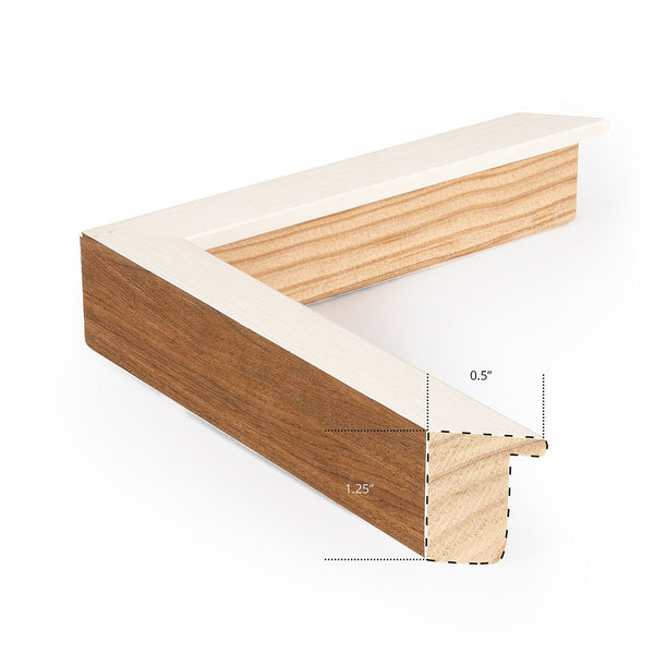 Magnetics 2 - Bodega Nantucket