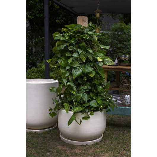 large indoor plant pots sale Accent Decor Kodiak Planter