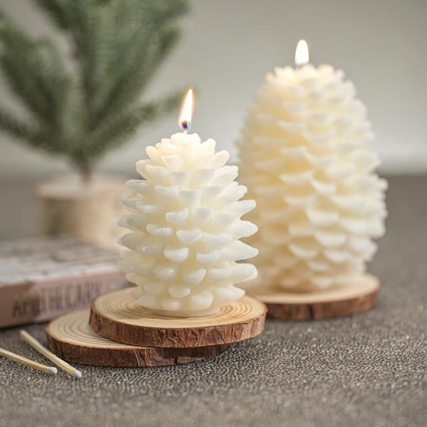 Scented Pine Cone Candle - Bodega Nantucket