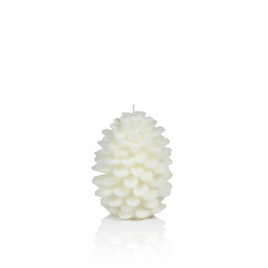 Scented Pine Cone Candle - Bodega Nantucket