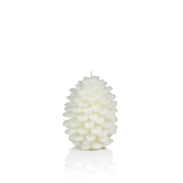 Scented Pine Cone Candle - Bodega Nantucket