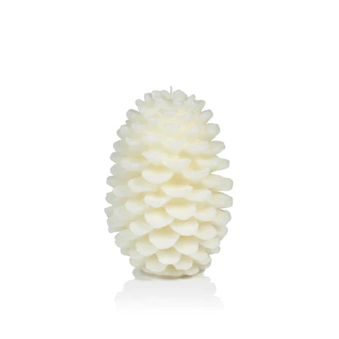 Scented Pine Cone Candle - Bodega Nantucket