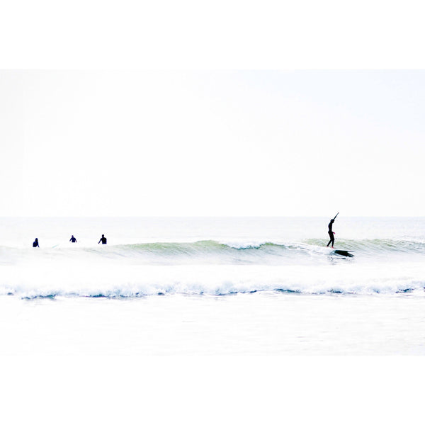 Walking The Nose - Bodega Nantucket