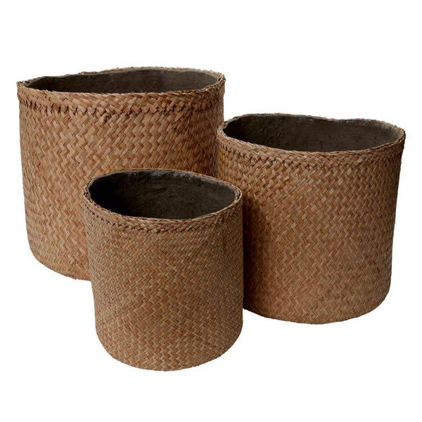 Fennel Planter - Bodega Nantucket