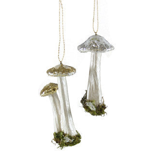 Enchanted Toadstool - Bodega Nantucket