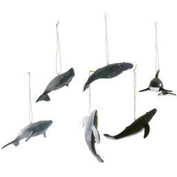 Icy whale - Bodega Nantucket