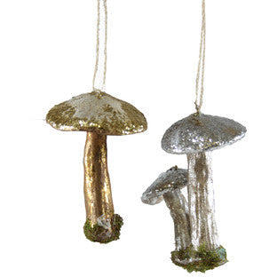 Enchanted Toadstool - Bodega Nantucket