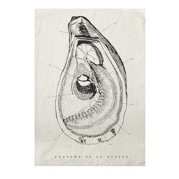 Oyster Anatomy Tea Towel - Bodega Nantucket